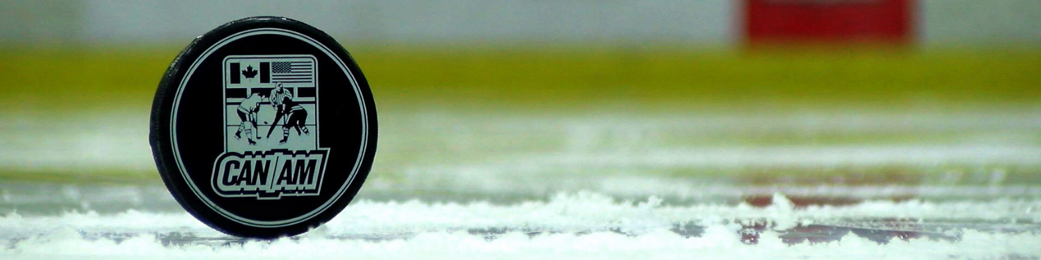 Upright Puck on Ice